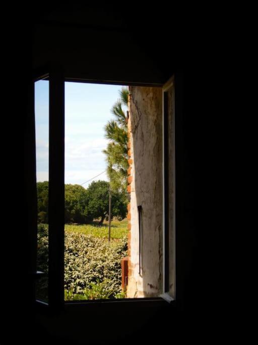 La Maison Des Vendangeurs كانيه المظهر الخارجي الصورة